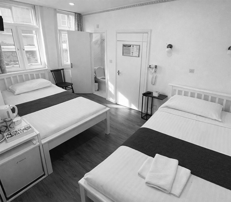 Apartment Twin Ensuite Room (Rear Building)